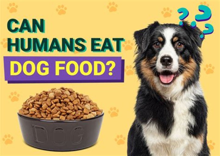 Is it bad for humans to eat dog food?