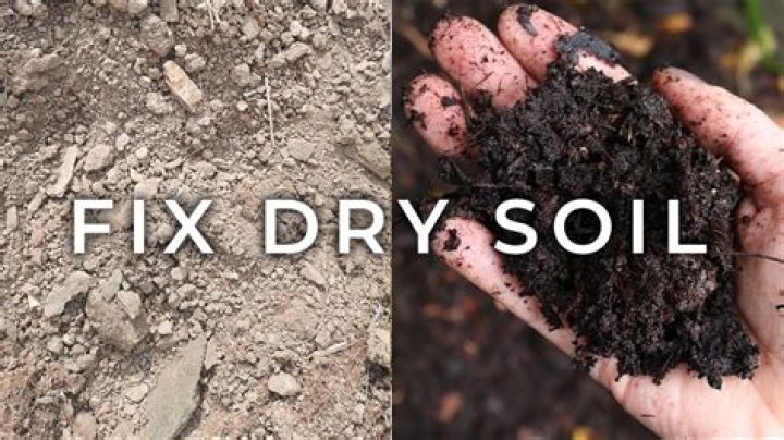 Is it better to till wet or dry soil?