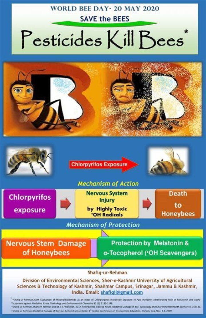 Is it illegal to kill bees in CA?
