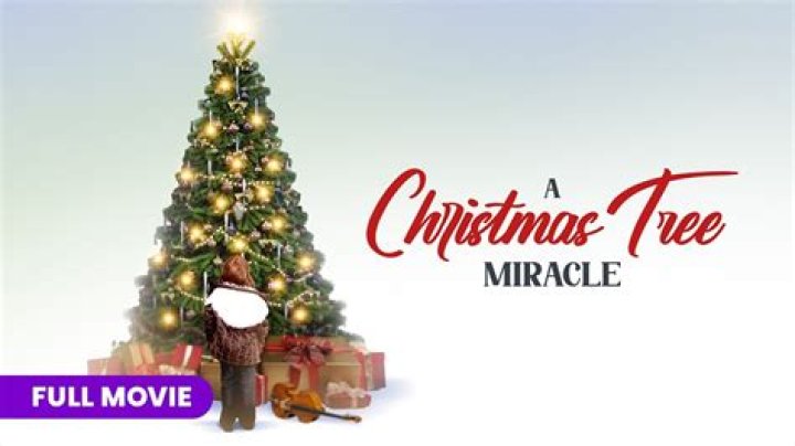 Is Miracle Grow good for Christmas trees?