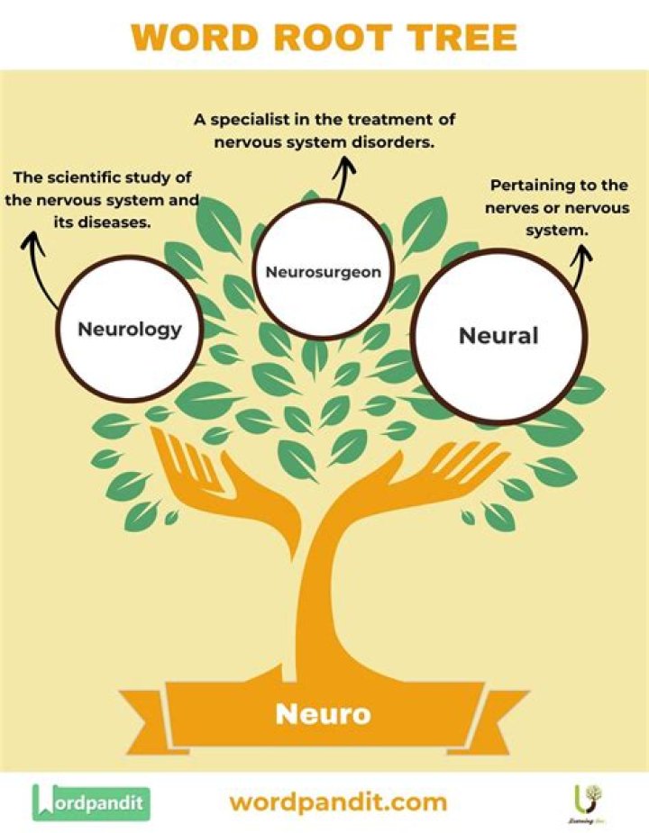 Is neuro a root word?