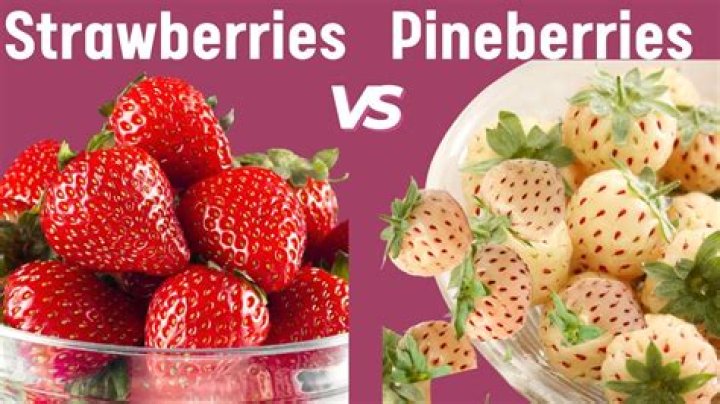 Is Pineberry a real fruit?