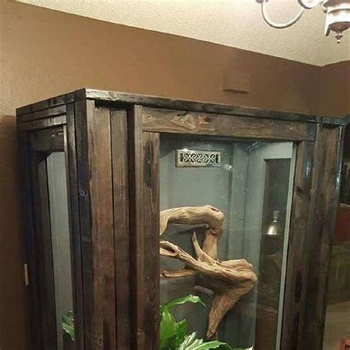 Is plywood safe for reptiles?