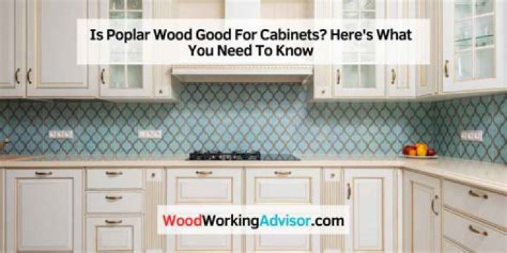 Is poplar wood good for cabinets?