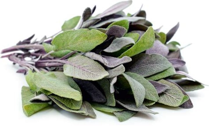 Is Purple Sage edible?