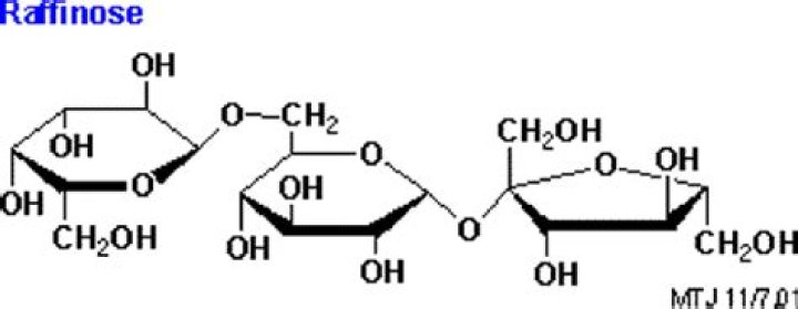 Is raffinose a reducing sugar?