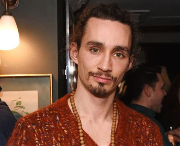 Is Robert Sheehan Gay? What Did He Say About His Sexuality?