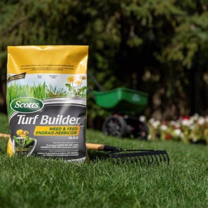 Is Scotts Turf Builder safe for birds?