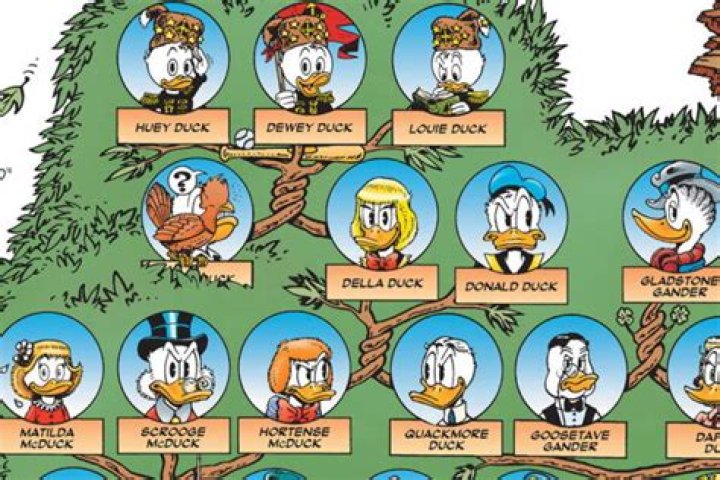 Is Scrooge McDuck related to Donald Duck?