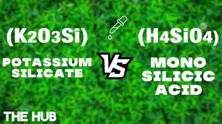 Is silica good for plants?