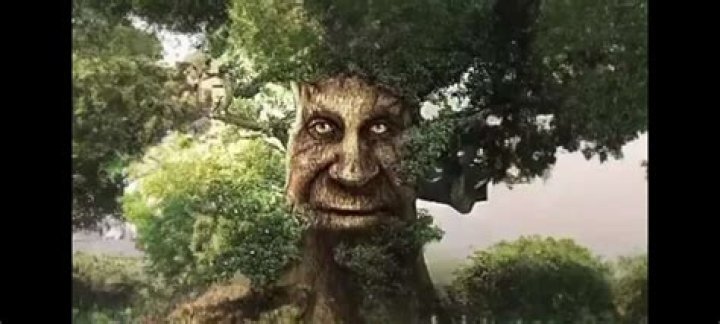 Is Sin Cara and Mistico the same person?