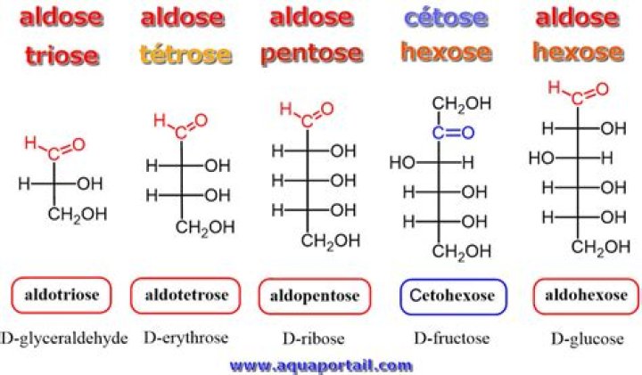 Is Sucrose a Ketose?