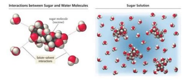 Is sugar dissolved in water a pure substance?