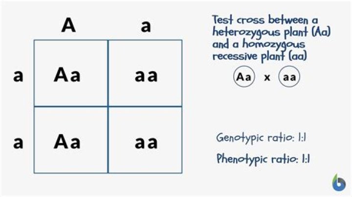 Is the ability to taste PTC dominant or recessive?