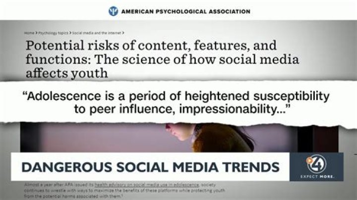 Is the media a social institution?