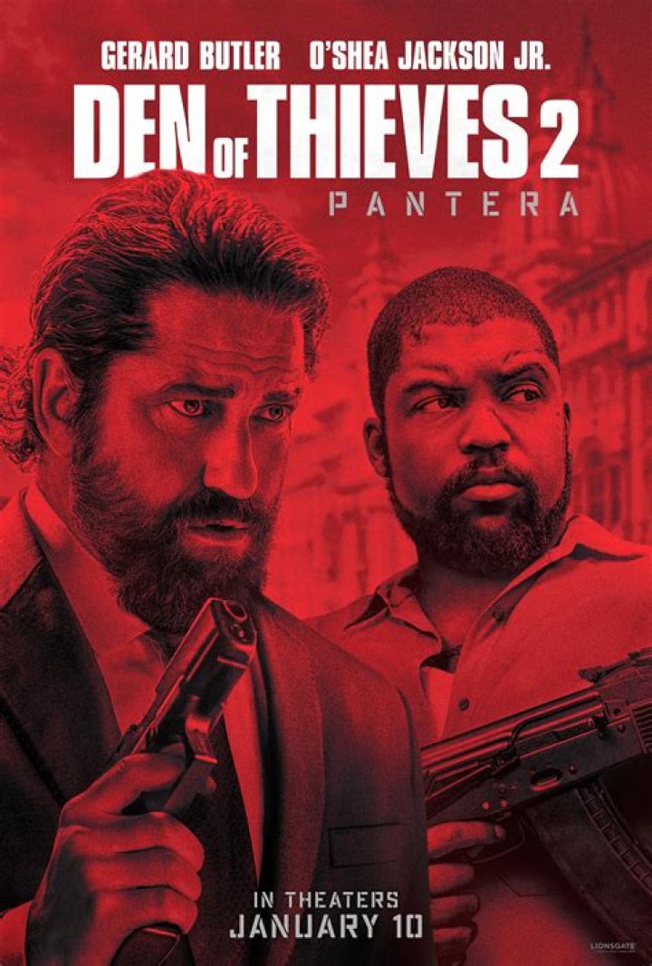 Is the movie Den of Thieves a true story?