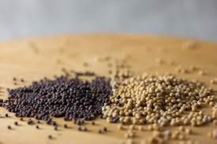Is the mustard seed the smallest of all seeds?