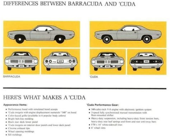 Is there a difference between Cuda and barracuda?