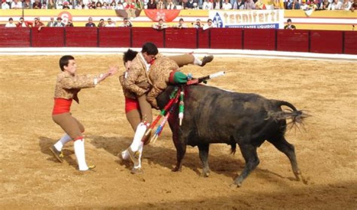 Is there Bullfighting in Portugal?