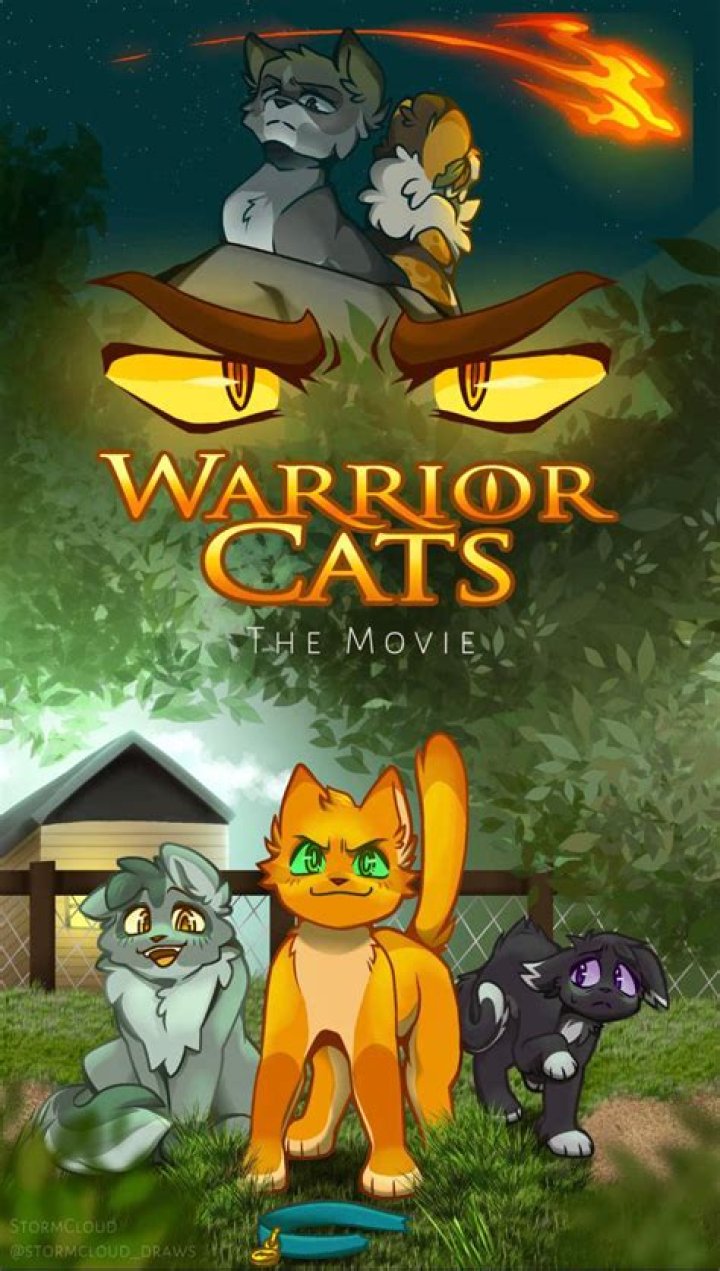 Is there going to be a warrior cats movie 2019?