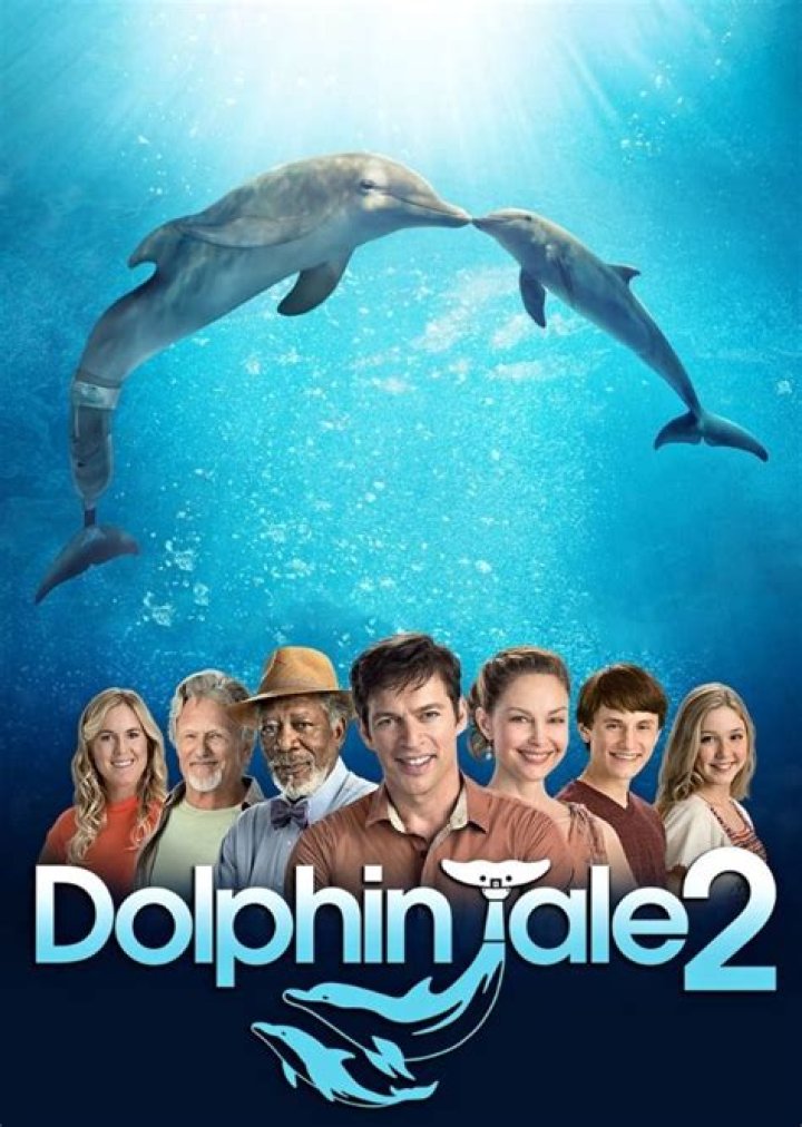Is there gonna be a Dolphin Tale 3 movie?