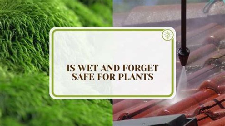 Is Wet and Forget safe for plants?