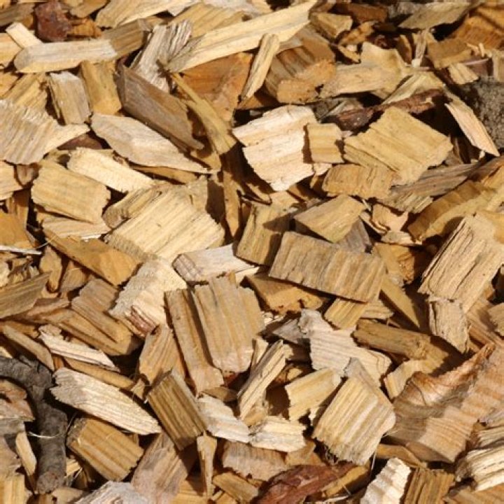 Is wood chip mulch a fire hazard?