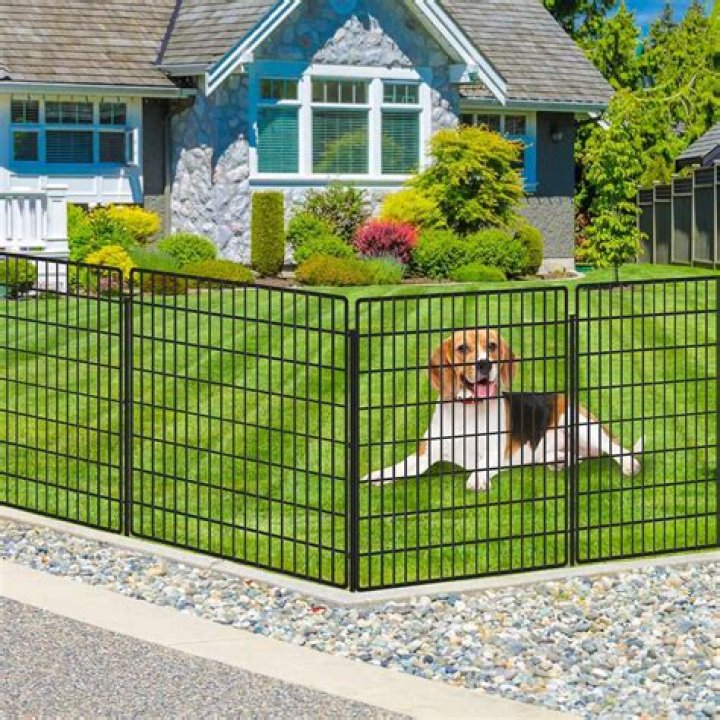 Is Yard Guard safe for pets?