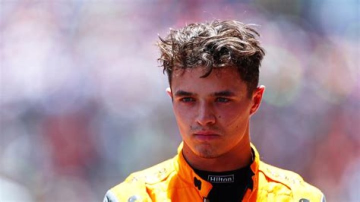 Lando Norris net worth