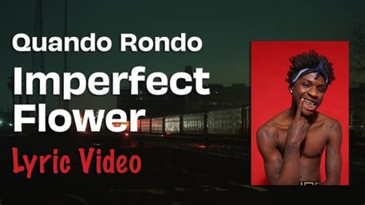 Lyrics: Quando Rondo – Imperfect Flower Lyrics