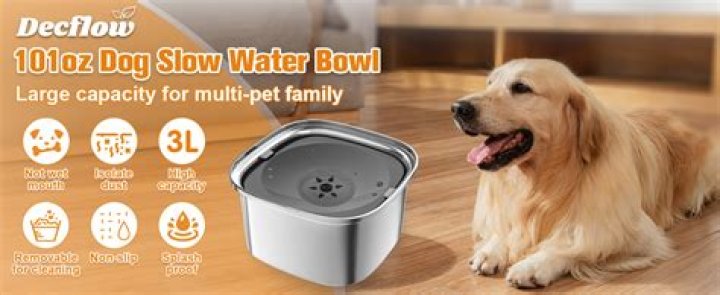 Madonna Licks Water Out Of Dog Bowl, Fans Call Her “Sad, Gross, And Not Classy”