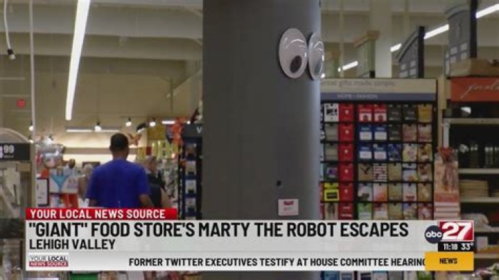 Marty the robot escapes a grocery store, sparks hilarious reactions online