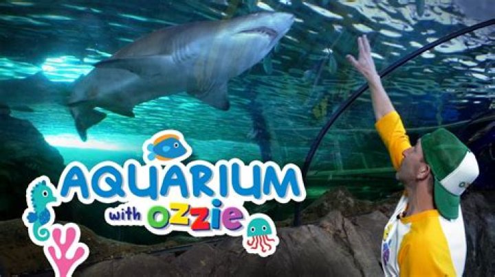 Does Ozzie Albies have kids?