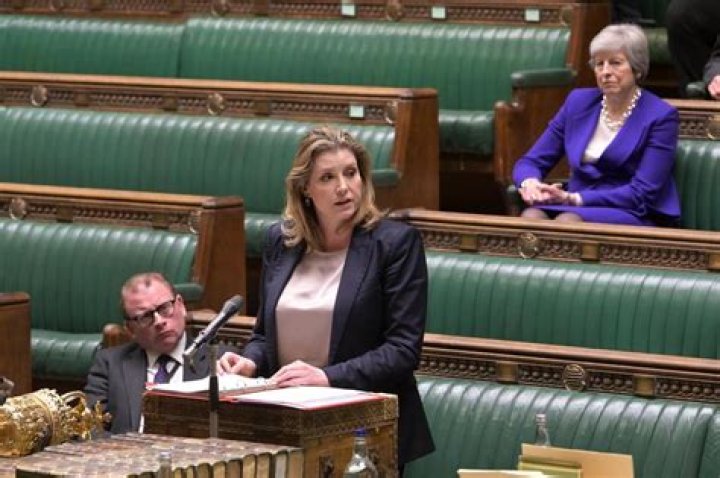 Penny Mordaunt biography: disability, height, net worth, Wikipedia, young, magic, children, Brexit