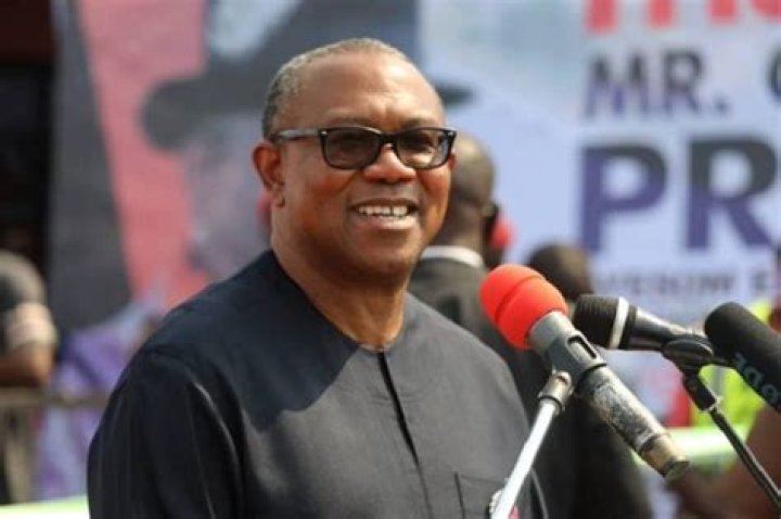 Peter Obi Net Worth
