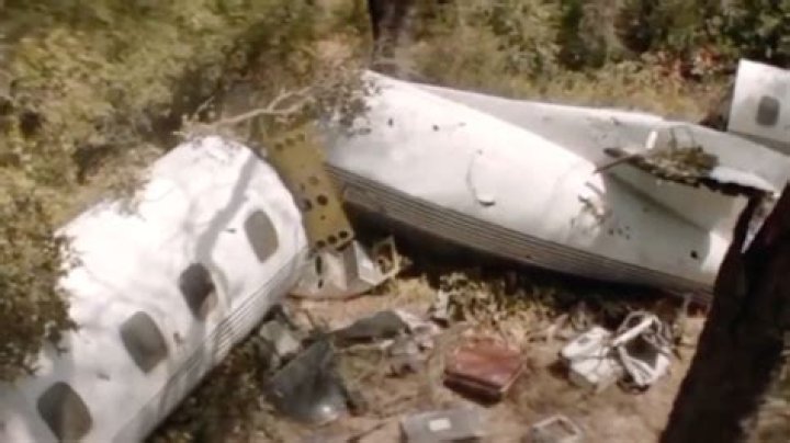 Ronnie Van Zant plane crash videos and photos