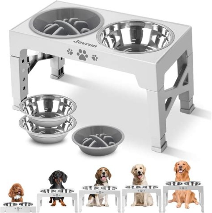 Should dogs eat out of stainless steel bowls?