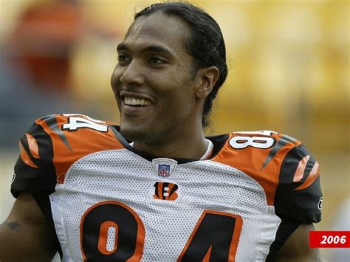 TJ Houshmandzadeh Height, Weight, Net Worth, Age, Birthday, Wikipedia, Who, Instagram, Biography