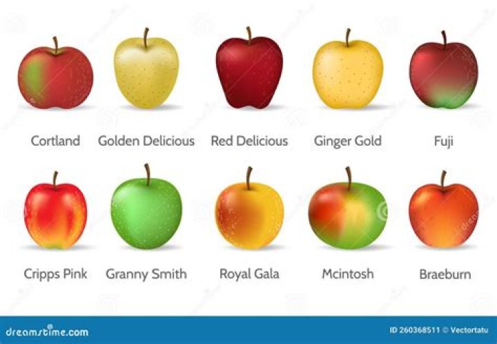 What Apple is comparable to Cortland?