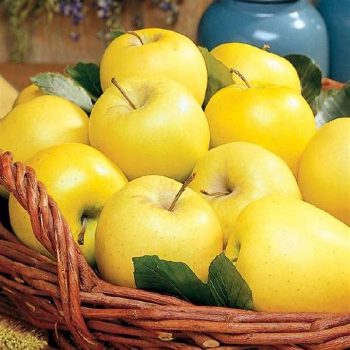 What apples are similar to Golden Delicious?
