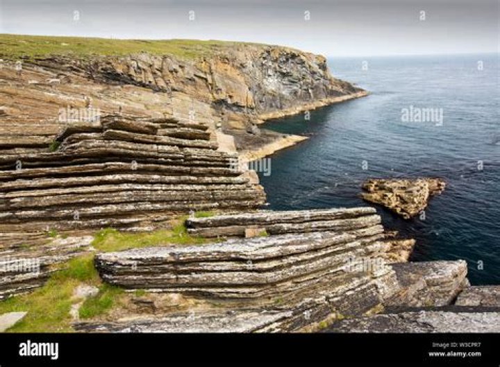 What are bedding planes?