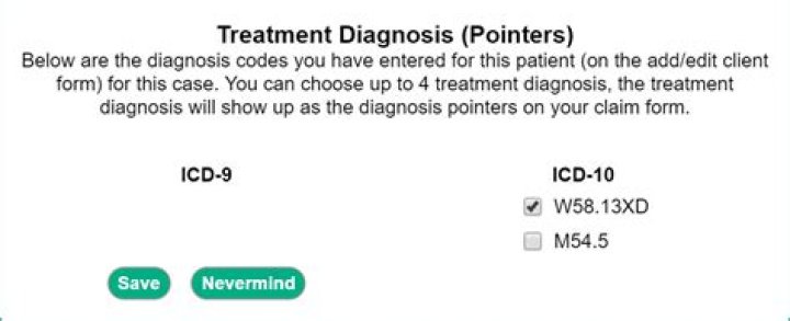 What are diagnosis pointer codes?