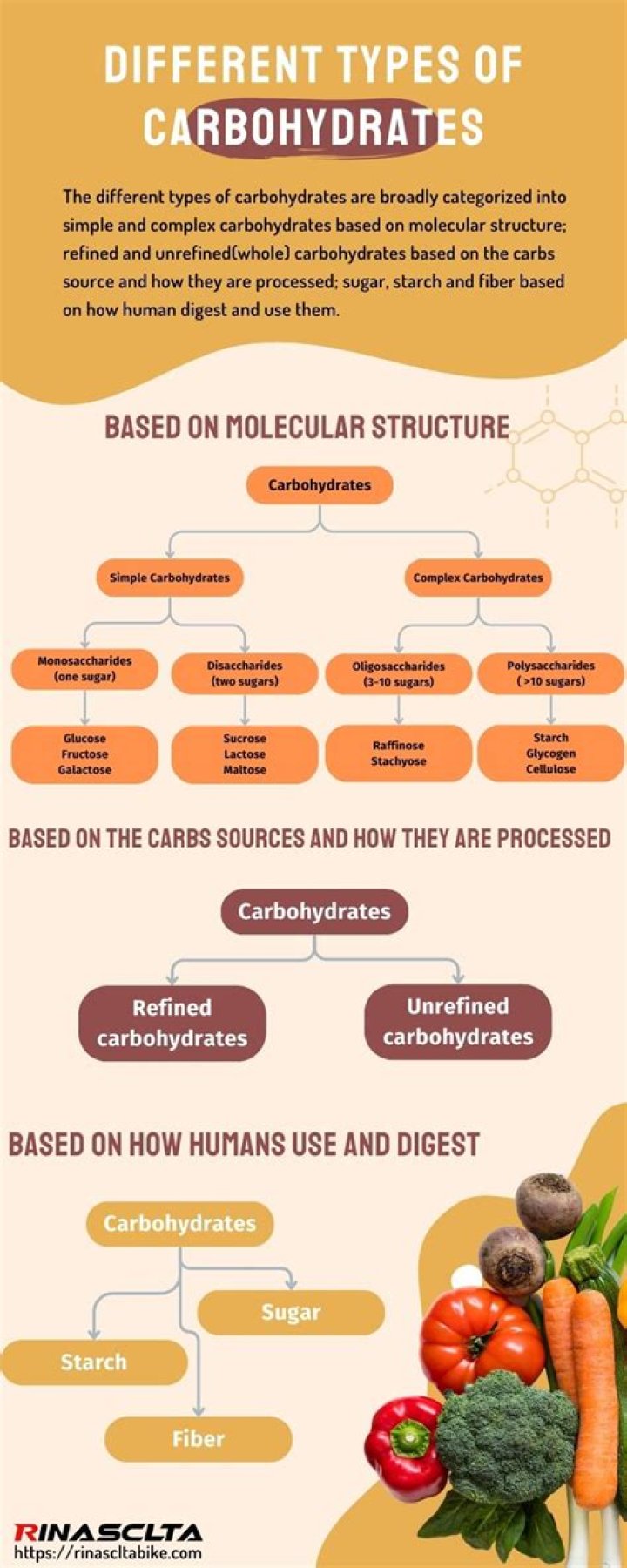 What are fermenting carbohydrates?