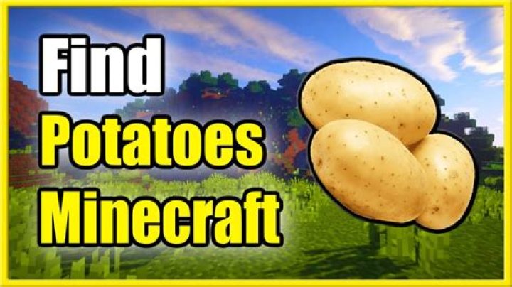 What are Potatoes in Minecraft?