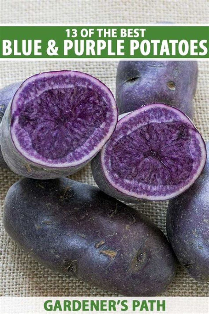 What are royal blue potatoes good for?