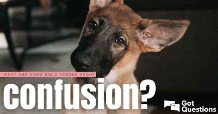 What are some Bible verses about confusion?