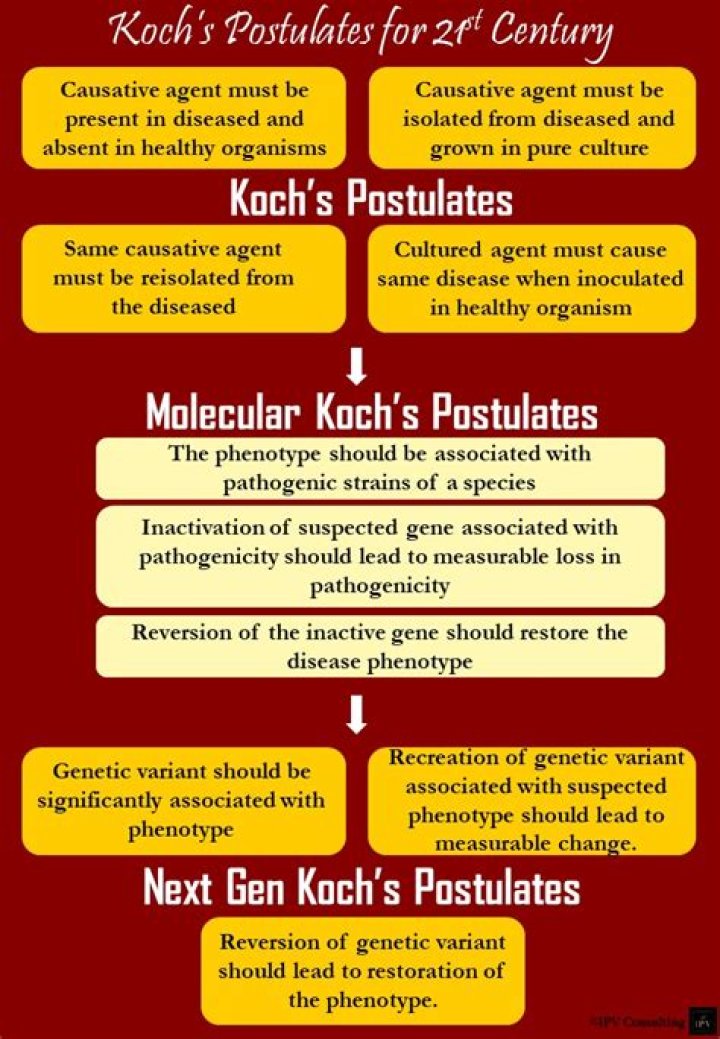 What are the 4 Koch’s postulates?