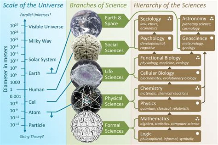 What are the 50 branches of science?