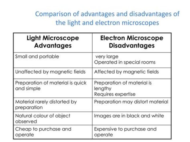 What are the advantages and disadvantages of using a light microscope?