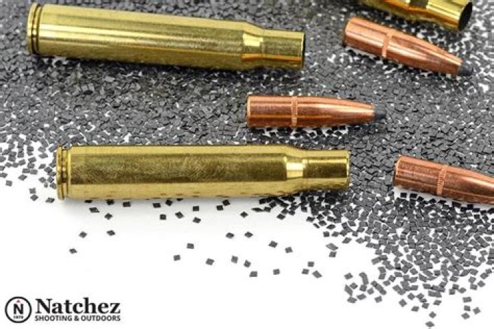 What are the basic parts of ammunition hunters Ed?